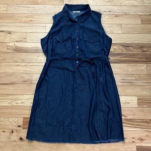 * Ladies denim dress size 2X